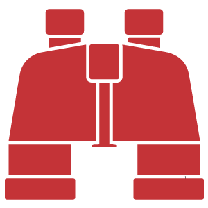 iconobinoculares-300.png
